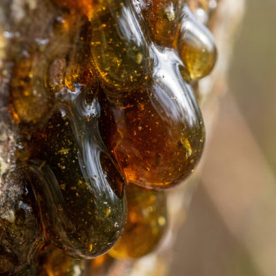 Herbal Extracts